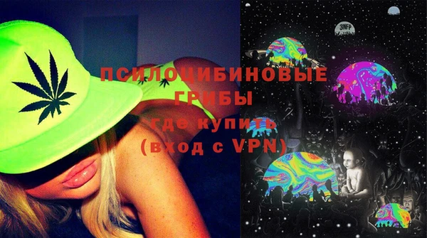 стаф Сатка