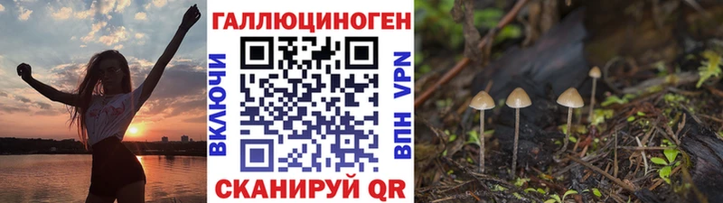 Купить где  Староминская  Псилоцибиновые грибы GOLDEN TEACHER 