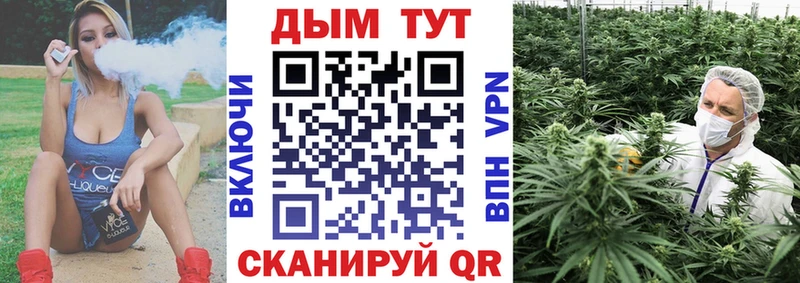 Купить где  Староминская  Конопля SATIVA & INDICA 